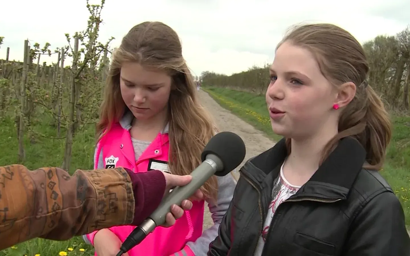 Merkverhaal in video voor Naturalis Citizen Science