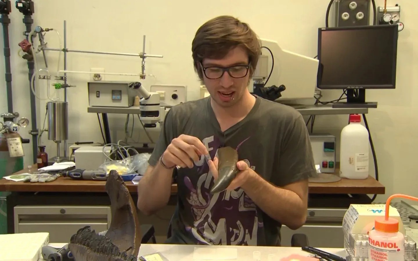 Content creatie voor T-rex Journaal van Naturalis