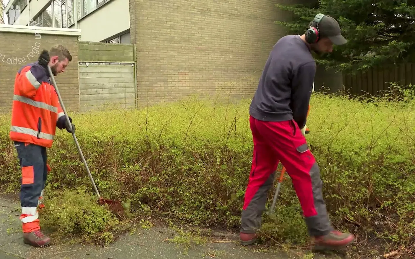 Videoproductie voor werken in de Leidse regio